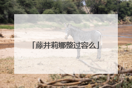 藤井莉娜整过容么