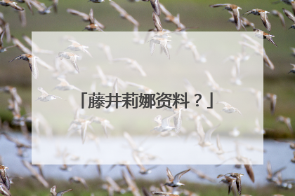 藤井莉娜资料？