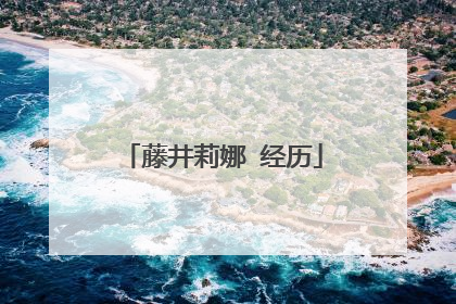 藤井莉娜 经历