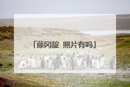 藤冈靛 照片有吗