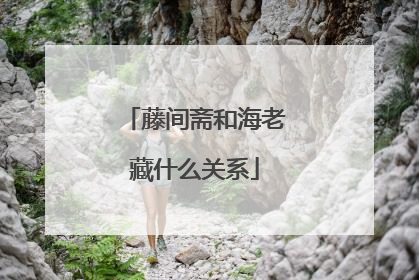 藤间斋和海老藏什么关系