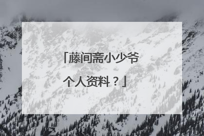 藤间斋小少爷个人资料?