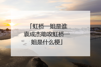虹桥一姐是谁 袁成杰助攻虹桥一姐是什么梗