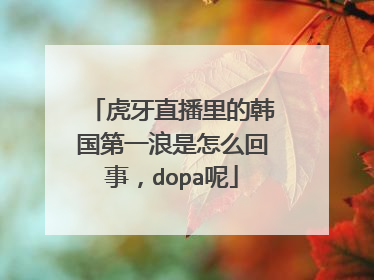 虎牙直播里的韩国第一浪是怎么回事，dopa呢