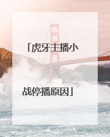 虎牙主播小战停播原因