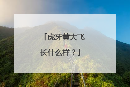 虎牙黄大飞长什么样？