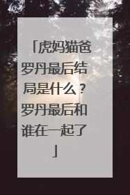 虎妈猫爸罗丹最后结局是什么？罗丹最后和谁在一起了