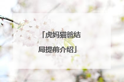 虎妈猫爸结局提前介绍