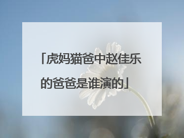 虎妈猫爸中赵佳乐的爸爸是谁演的