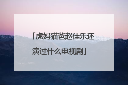 虎妈猫爸赵佳乐还演过什么电视剧