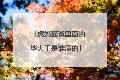 虎妈猫爸里面的毕大千是谁演的