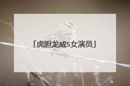 虎胆龙威5女演员