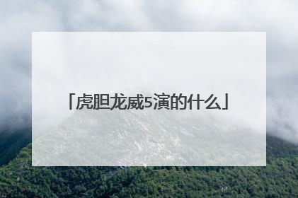 虎胆龙威5演的什么