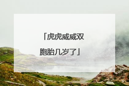 虎虎威威双胞胎几岁了