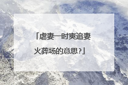 虐妻一时爽追妻火葬场的意思?