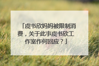 虞书欣妈妈被限制消费，关于此事虞书欣工作室作何回应？
