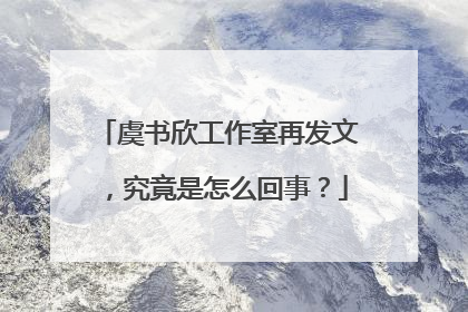 虞书欣工作室再发文，究竟是怎么回事？