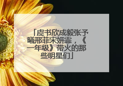 虞书欣成毅张予曦邢菲宋妍霏，《一年级》带火的那些明星们