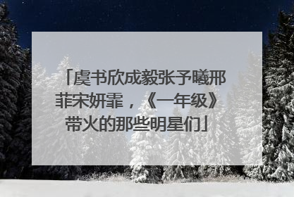 虞书欣成毅张予曦邢菲宋妍霏,《一年级》带火的那些明星们