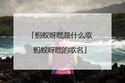 蚂蚁呀嘿是什么歌 蚂蚁呀嘿的歌名
