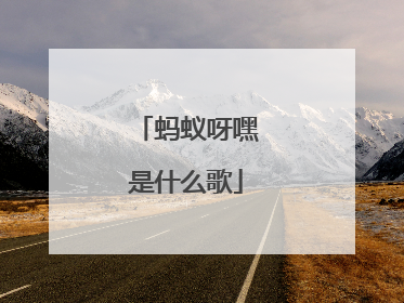 蚂蚁呀嘿是什么歌