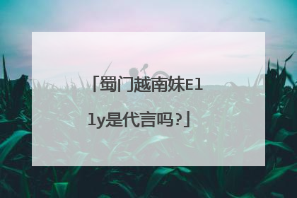 蜀门越南妹Elly是代言吗?