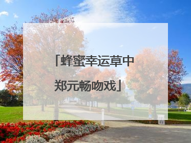 蜂蜜幸运草中郑元畅吻戏