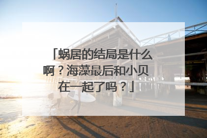 蜗居的结局是什么啊？海藻最后和小贝在一起了吗？