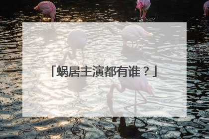 蜗居主演都有谁?