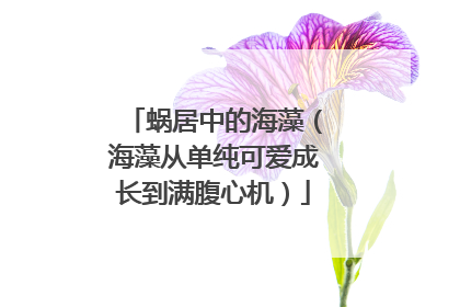 蜗居中的海藻（海藻从单纯可爱成长到满腹心机）