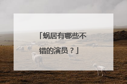 蜗居有哪些不错的演员？