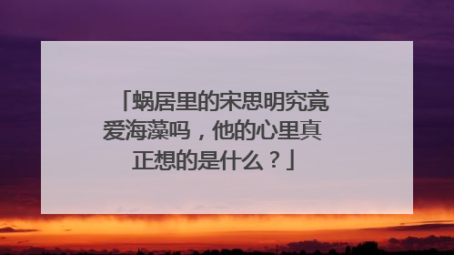 蜗居里的宋思明究竟爱海藻吗，他的心里真正想的是什么？