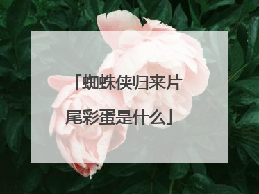 蜘蛛侠归来片尾彩蛋是什么