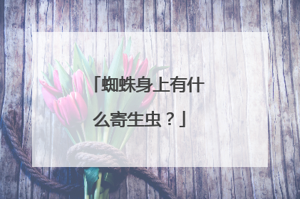 蜘蛛身上有什么寄生虫？