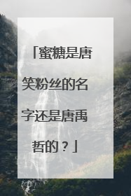 蜜糖是唐笑粉丝的名字还是唐禹哲的?