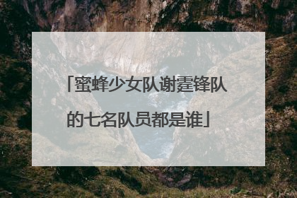 蜜蜂少女队谢霆锋队的七名队员都是谁