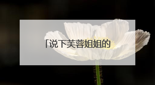 说下芙蓉姐姐的个人资料和简介