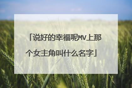说好的幸福呢MV上那个女主角叫什么名字