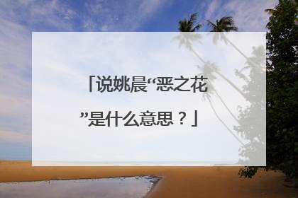 说姚晨“恶之花”是什么意思？