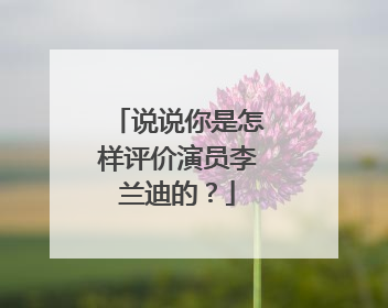 说说你是怎样评价演员李兰迪的?