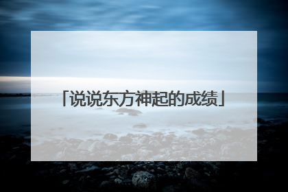 说说东方神起的成绩