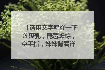 请用文字解释一下莲蓬乳,琵琶蟾蜍,空手指,妹妹背着洋娃娃,93年九铁路广告是怎么回事。