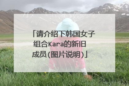 请介绍下韩国女子组合Kara的新旧成员(图片说明)