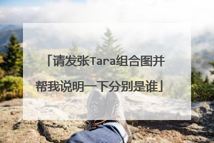 请发张Tara组合图并帮我说明一下分别是谁