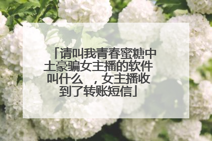 请叫我青春蜜糖中土豪骗女主播的软件叫什么 ,女主播收到了转账短信