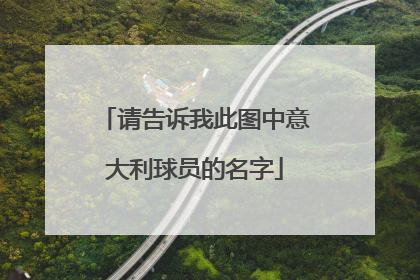 请告诉我此图中意大利球员的名字