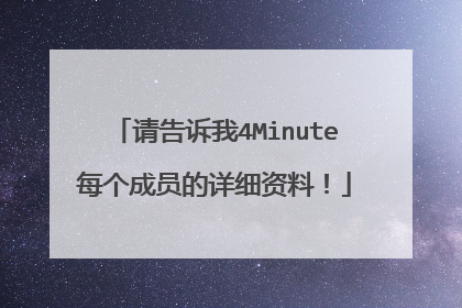 请告诉我4Minute每个成员的详细资料!