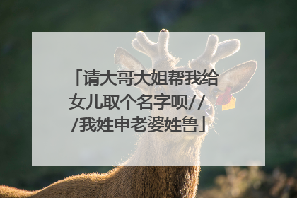 请大哥大姐帮我给女儿取个名字呗///我姓申老婆姓鲁