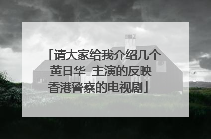 请大家给我介绍几个 黄日华 主演的反映香港警察的电视剧