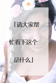 请大家帮忙看下这个是什么
